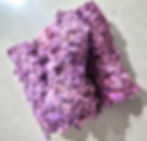 White sage and purple mullein