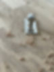 IMG_2867.jpeg