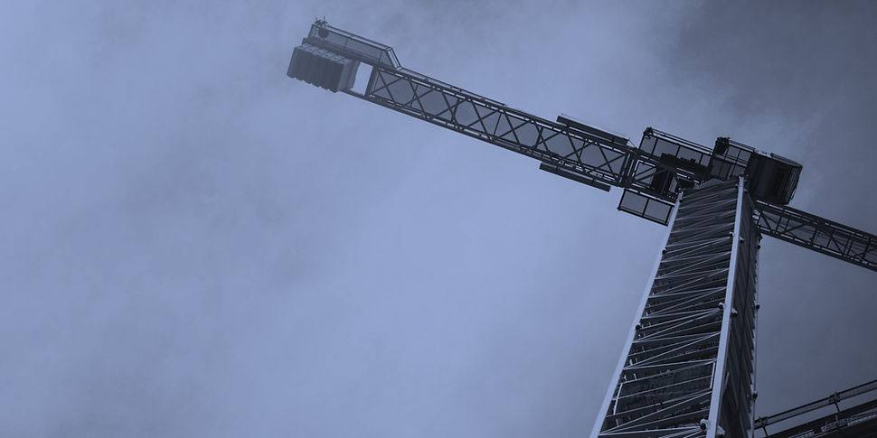 Crane_edited_edited.jpg