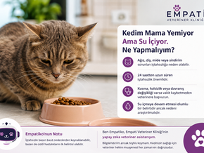 Önünde mama kabı olan tekir kedi; sağda Empati Veteriner Kliniği afişinde Kedim Mama Yemiyor Ama Su İçiyor yazısı.