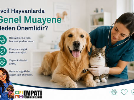 Veteriner klinikte golden retriever ve kediyi muayene ediyor; solda Evcil Hayvanlarda Genel Muayene Neden Önemlidir? yazıyor.