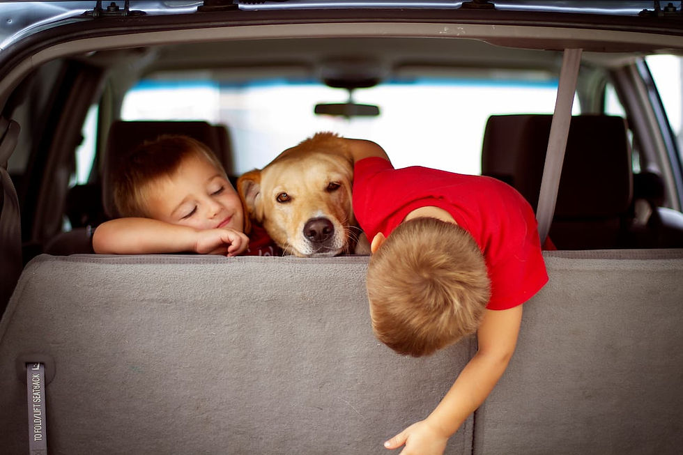 Children and a dog resting in a car during a family move