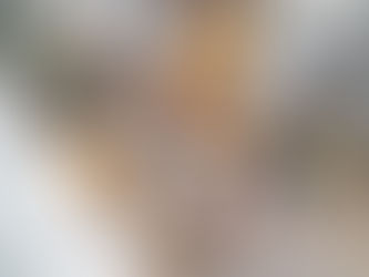 Two women self-packing household items into cardboard boxes, illustrating the Packed By Owner (PBO) moving process