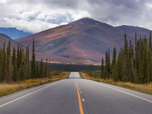 Scenic highway surrounded by pine trees leading to mountains, representing the route for moving to Alaska by road.