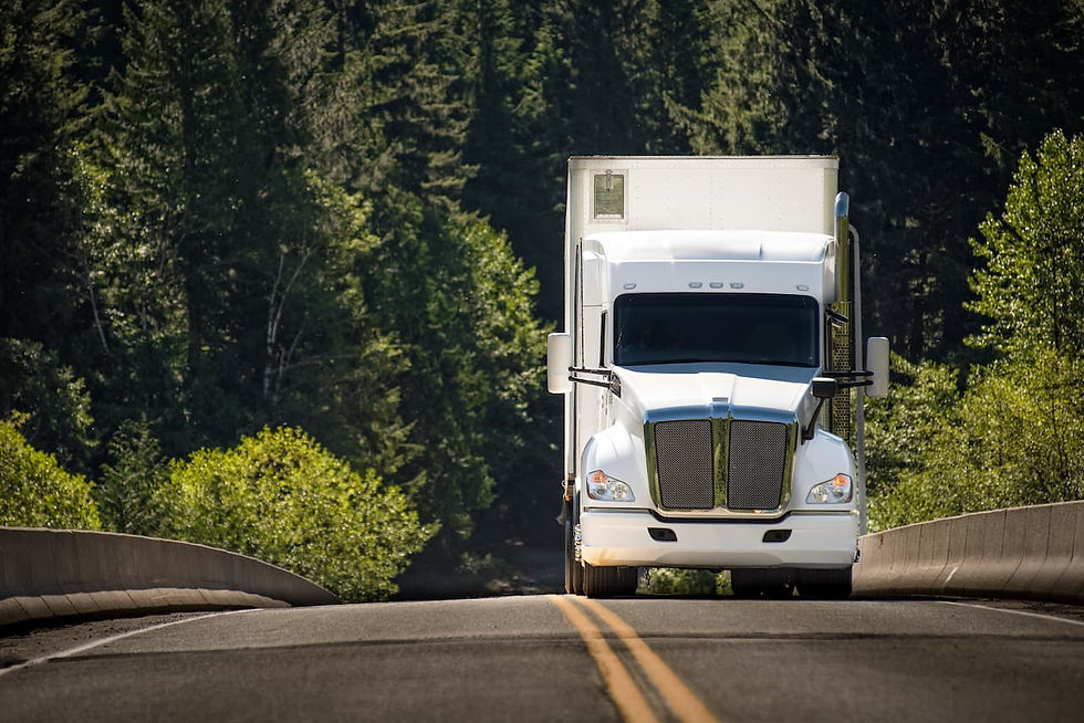 White moving truck driving through a forest road for a guide about moving to Alaska cost and transit time.