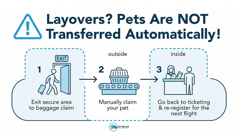 Infographic explaining that pets are not transferred automatically during layovers. It shows a 3-step process: exit the secure area to baggage claim, manually claim your pet, and go back to ticketing to re-register for the next flight.