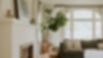 Cozy living room with natural light, indoor plant, and soft furnishings — representing the comfort and quality our handyman services aim to protect.