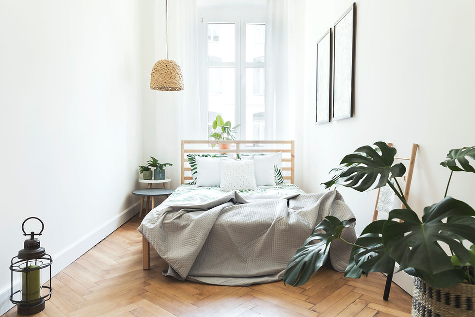 Bright Scandinavian bedroom with light wood furniture and indoor plants