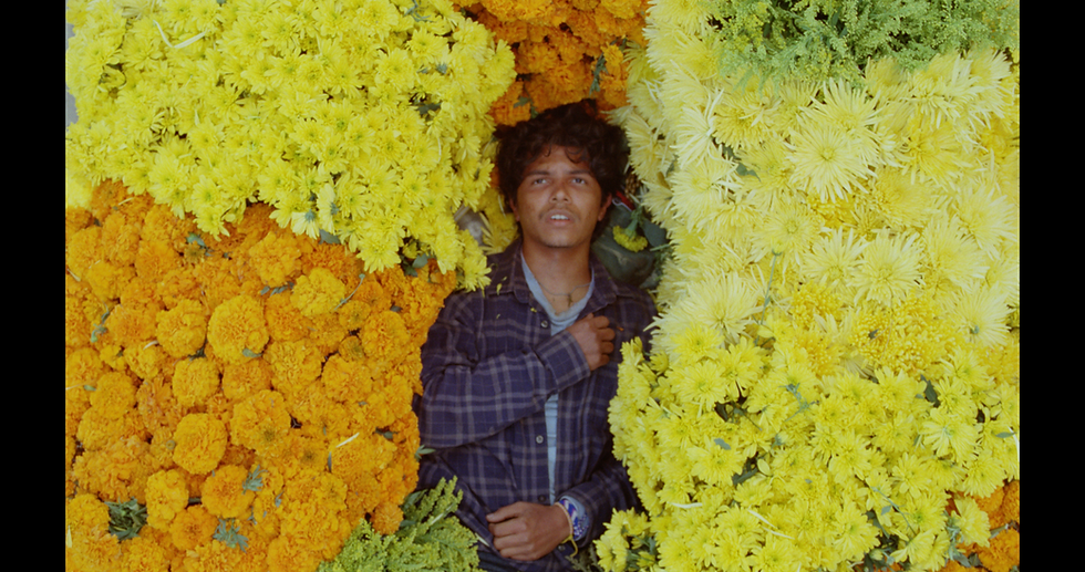 FloresStills_1.26.2.png