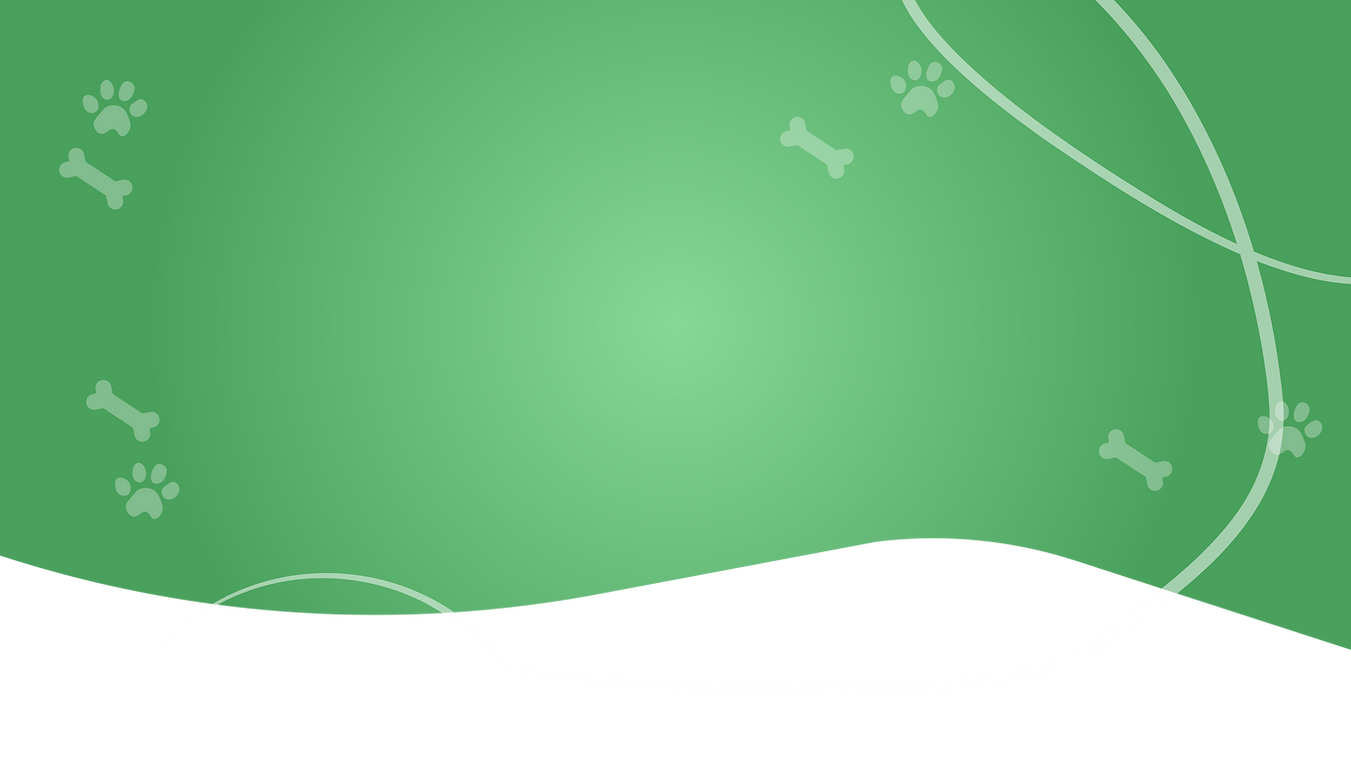 banner 1-01.png