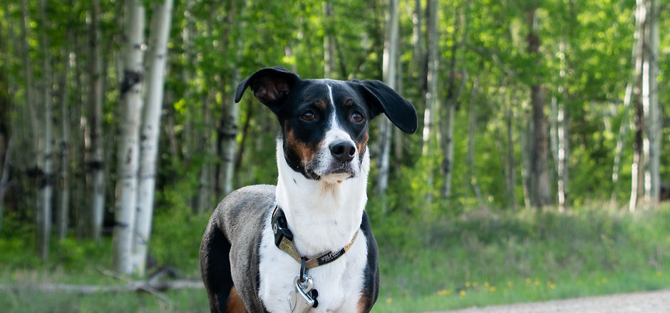 DSC_0784.jpg