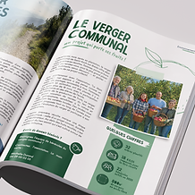 Mockup_Magazine confort.png