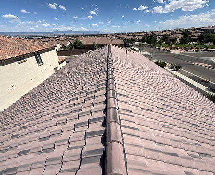 Tile roof maintenence.jpg