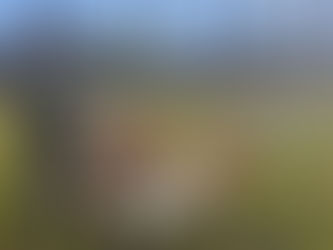 稲わらを田んぼに撒きました