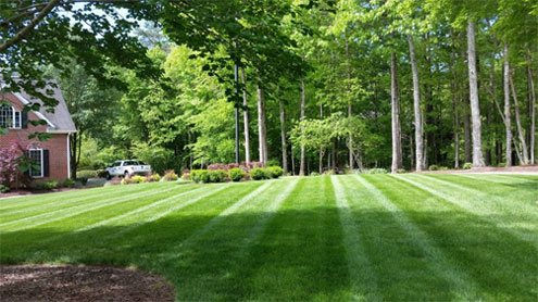professional lawn mowing and trimming company near Cary NC