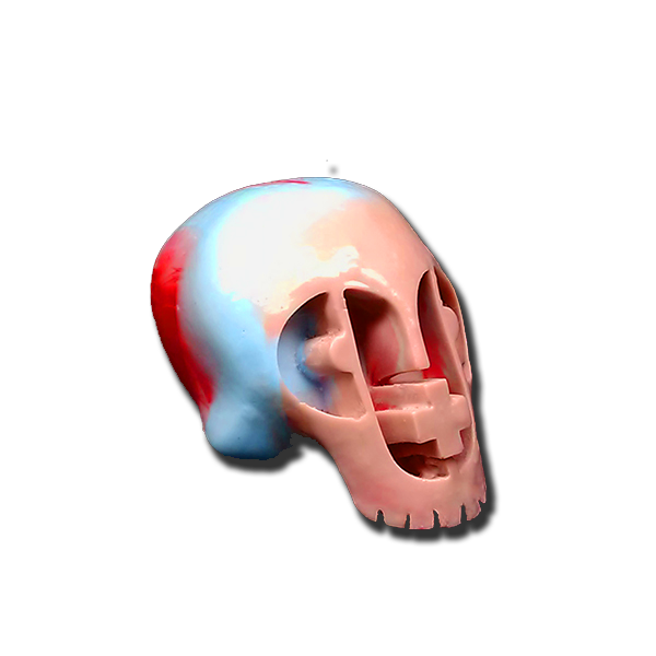 Limited Edition Resin S*D Skull!