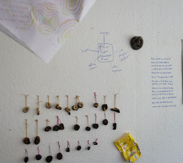 DSC02420.jpg