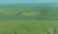 MMM pic green.jpg