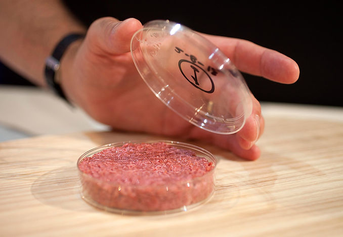 lab-grown-meat.jpg