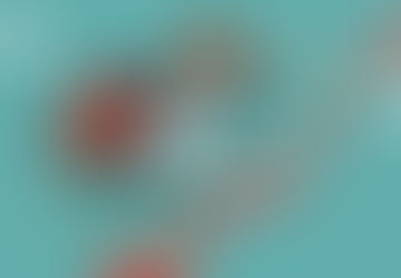 KARAKTERISTIK KEWIRAUSAHAAN