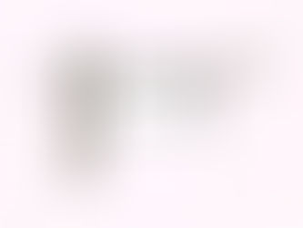 FUNGSI DAN PERAN PANCASILA DALAM KEHIDUPAN BERBANGSA DAN BERNEGARA