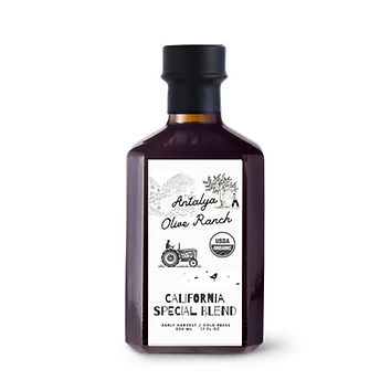 Adsız tasarım (27).jpg