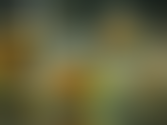 High-polyphenol molecules visualized in extra virgin olive oil.