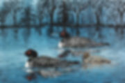 Loon Family  LInoleum Block Print
