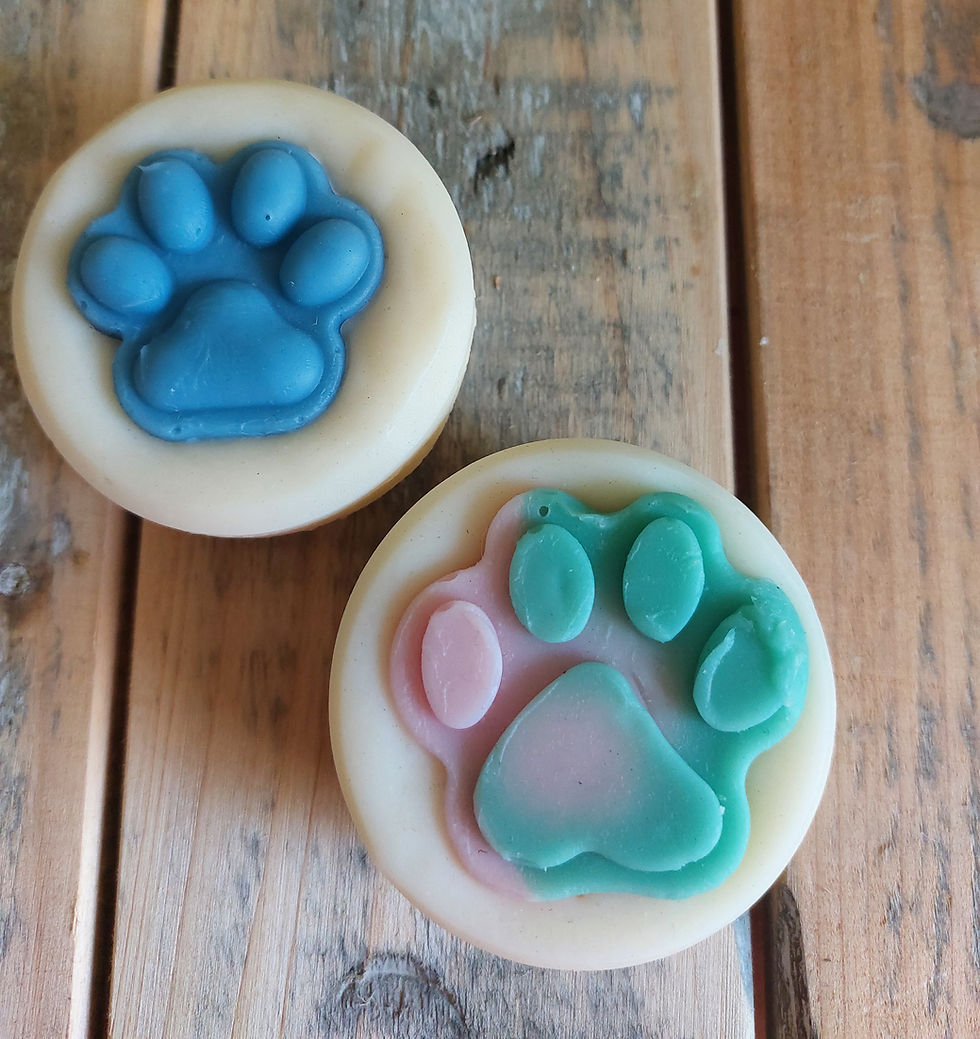 Hunde Schafmilchseife