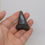 Thumbnail: 1.97 In Mako Shark Fossil Tooth