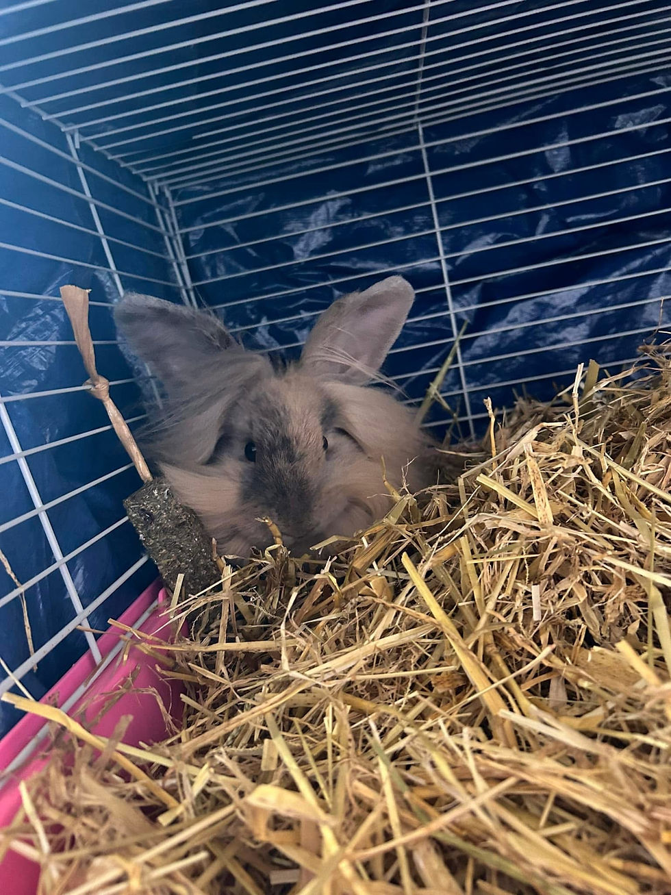 Max