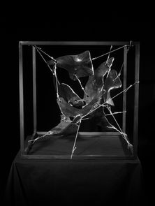  structure acier, inox forgé, câbles