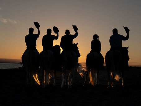 ATELIER PHOTO : "AUTHENTIQUE CAMARGUE"LE 28/02/2026