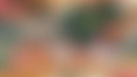 O Bloquinho da Lagoa no Alphaville está de volta!