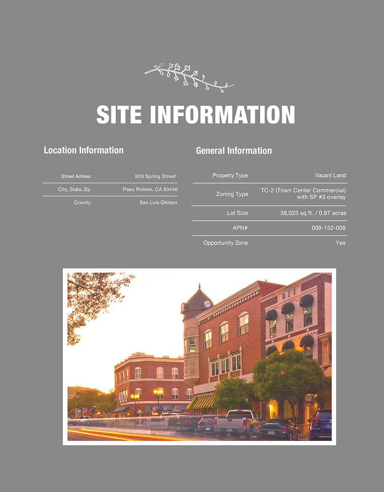 spirng site info.jpg
