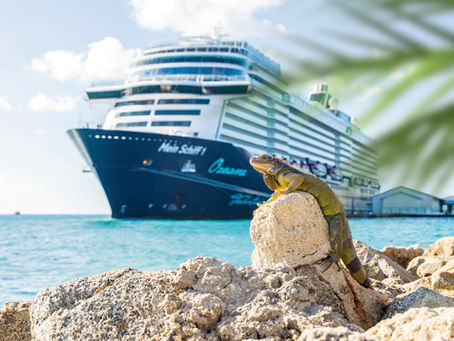 LGBTQ+ Kreuzfahrt - auch 2026 setzt Mein Schiff auf Diversität