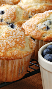 blueberry muffin