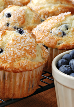 Blueberry Muffins Cafe at Gatto Nero Press Saint Johnsbury Vermont