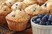 The Truth About Sugar Free