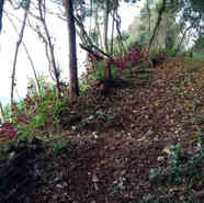 Caminhada Qüera (39).jpeg