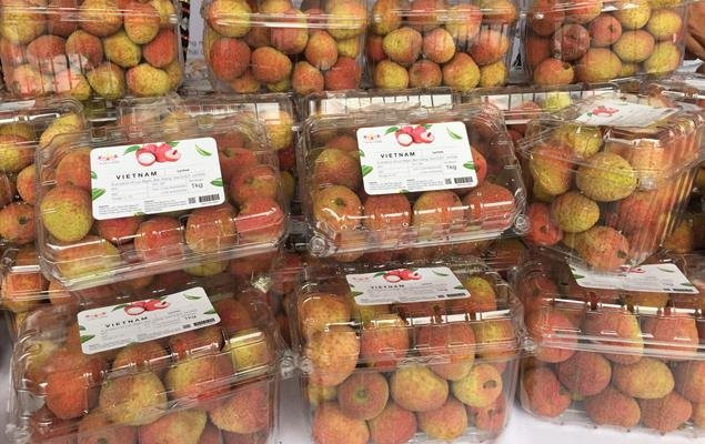 People who love Vietnam fruits are able to taste and feel the delicious taste of lychees