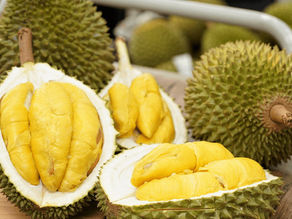 Durian taste - Characteristics delicious flavor from Southern Vietnam