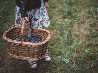 Time for Mulberries