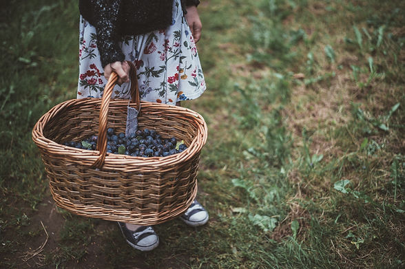 Girl with Basket of Berries