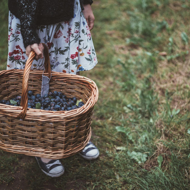Harvest Feast