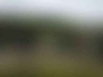 Streuobstwiese für Kita-Neubau eingeweiht