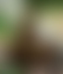 Forever BEcoming...Me