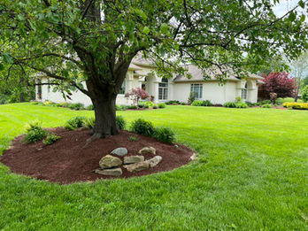 landscaping design