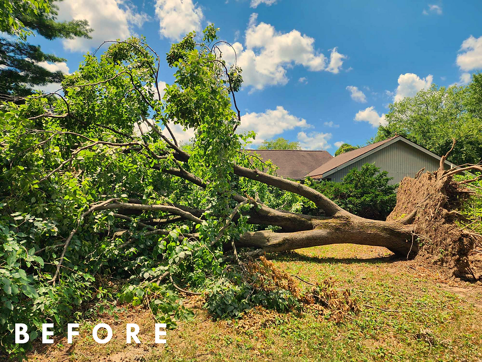 Best Landscaping Terre Haute