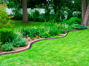 Choosing the Right Plants for Low-Maintenance Landscaping: Expert Tips
